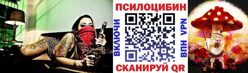 Галлюциногенные грибы Psilocybe  Купить закладки  Рассказово 